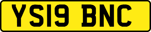 YS19BNC