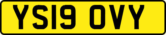YS19OVY