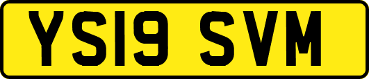 YS19SVM