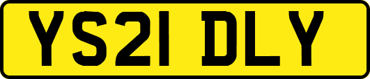 YS21DLY