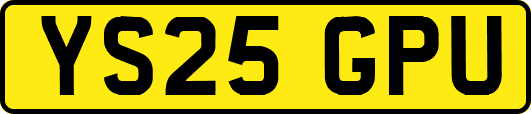 YS25GPU