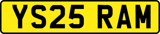 YS25RAM