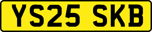 YS25SKB