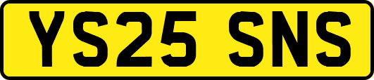 YS25SNS