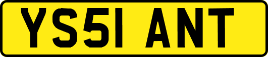 YS51ANT