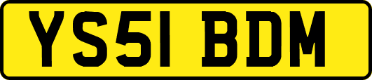 YS51BDM