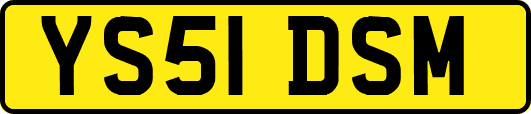 YS51DSM