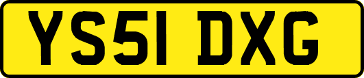 YS51DXG
