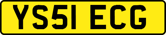 YS51ECG