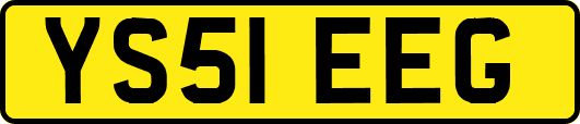 YS51EEG