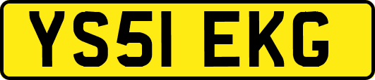 YS51EKG