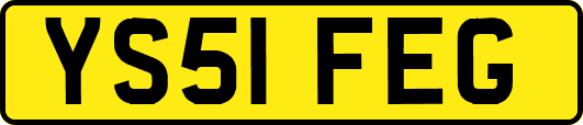 YS51FEG
