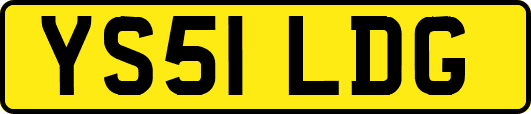 YS51LDG