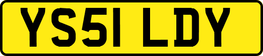 YS51LDY