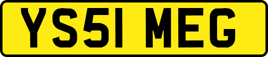 YS51MEG