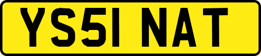 YS51NAT