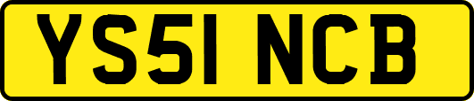 YS51NCB