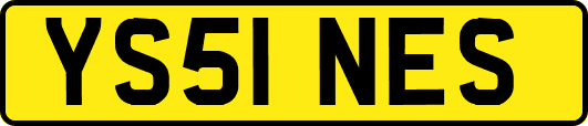 YS51NES