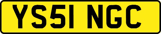YS51NGC