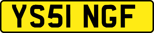 YS51NGF