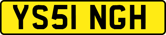 YS51NGH
