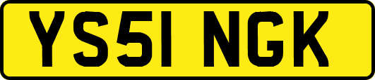 YS51NGK