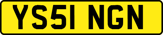YS51NGN