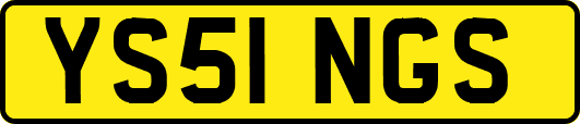 YS51NGS