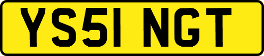 YS51NGT
