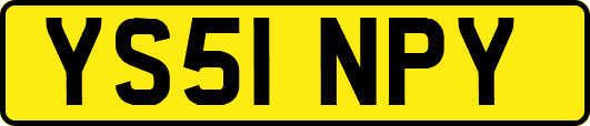 YS51NPY