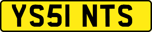 YS51NTS