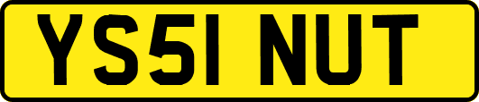 YS51NUT