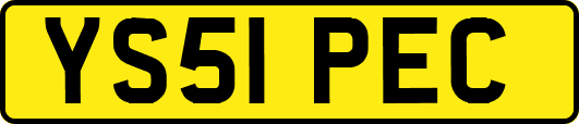 YS51PEC