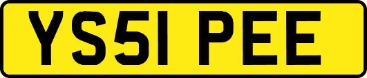 YS51PEE