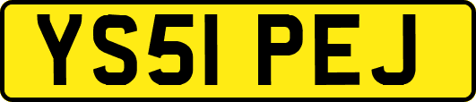 YS51PEJ