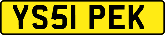 YS51PEK