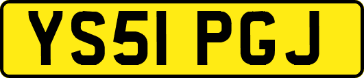 YS51PGJ