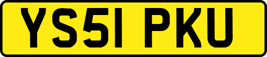 YS51PKU
