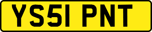 YS51PNT