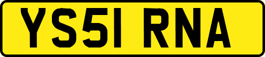 YS51RNA