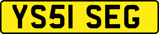 YS51SEG