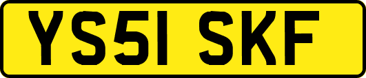 YS51SKF