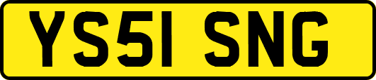 YS51SNG