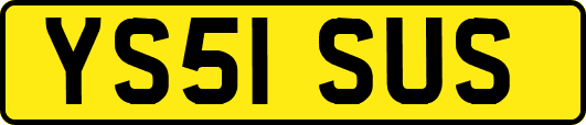 YS51SUS
