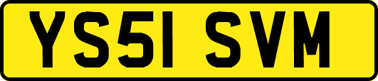 YS51SVM