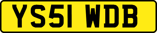YS51WDB