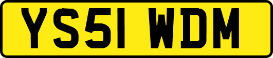 YS51WDM