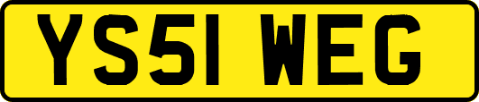 YS51WEG