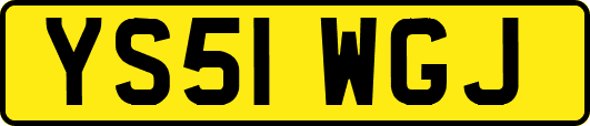 YS51WGJ