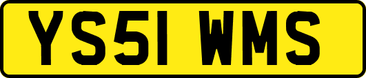 YS51WMS